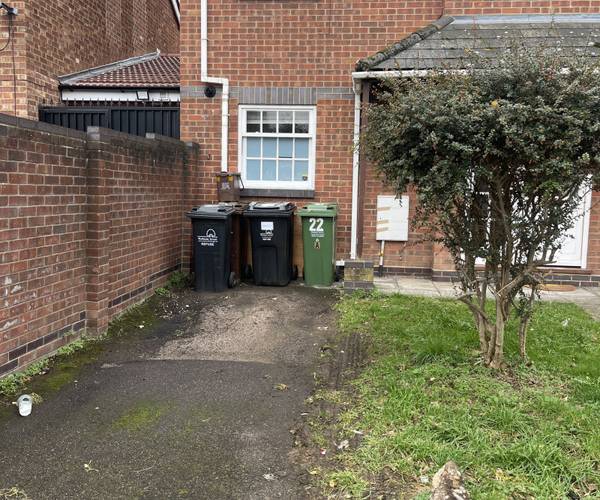 Parking on Rosedene Terrace, E10