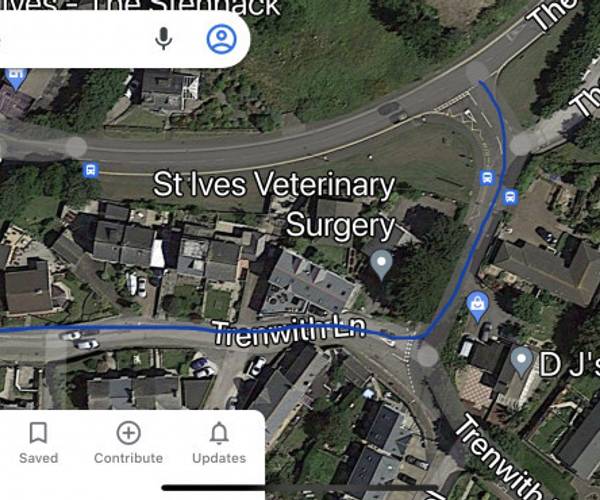 Parking on Trenwith Lane, TR26