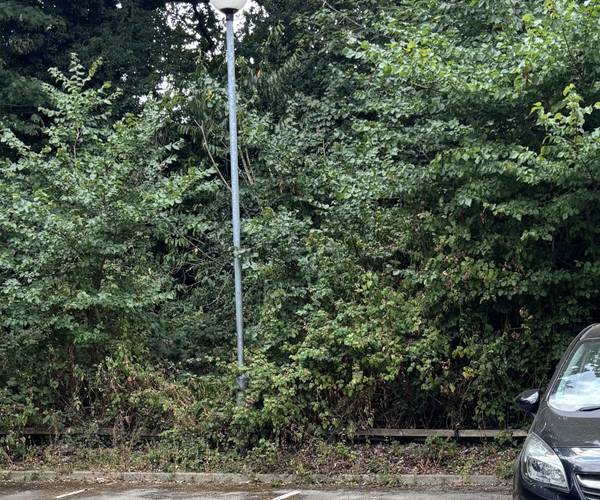Balmore Park, RG4