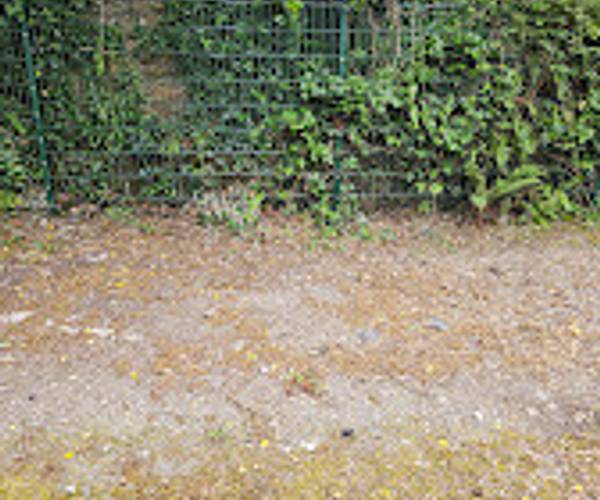 Parking on Wolseley Road, PL5