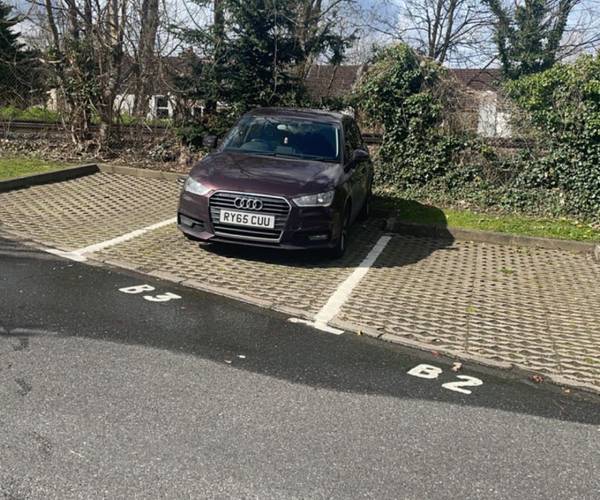 Parking on Birchend Close, CR2