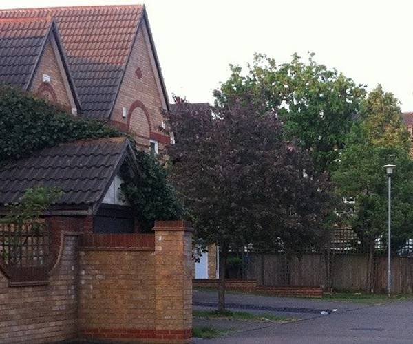 Parking on Wycliffe Road, SW11