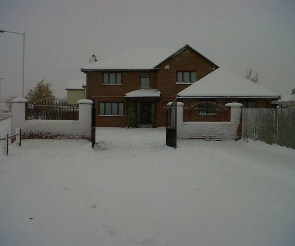 Rose Avenue, DA12