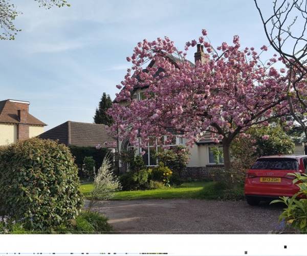 Parking on Elmdon Lane, B37