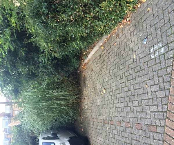 Parking on Jutland Close, N19