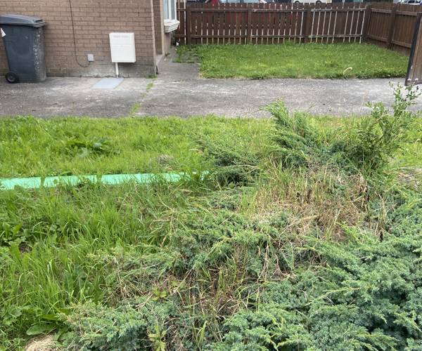 Parking on Larkfield Manor, BT4