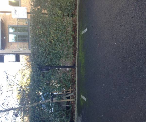 Parking on Roehampton Lane, SW15