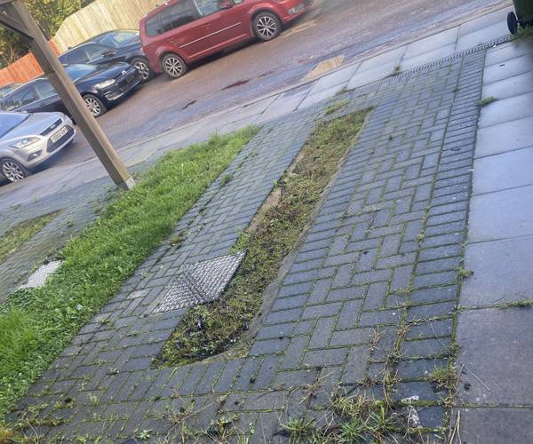 Parking on Harvey Gardens, SE7