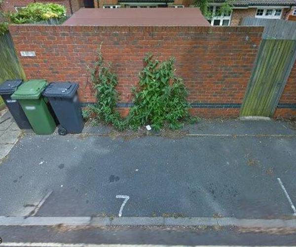 Causton Gardens, SO50
