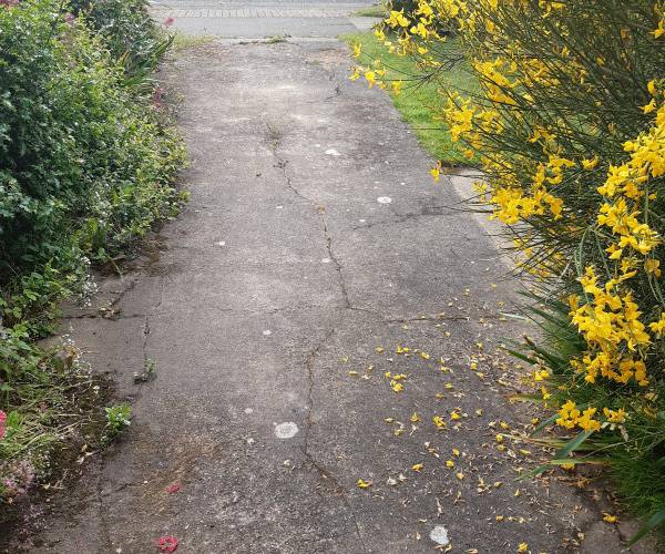 Old parsonage way, CO13