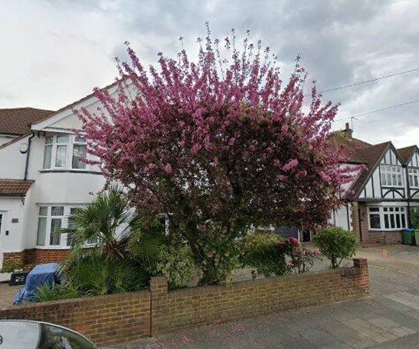 Waverley Avenue, TW2