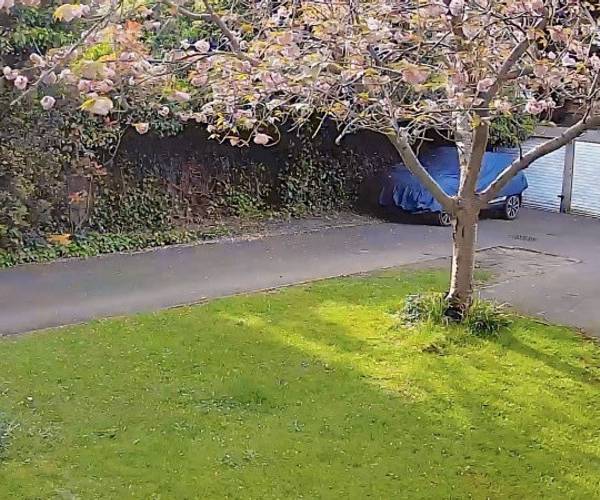 Parking on Princes Road, SW19