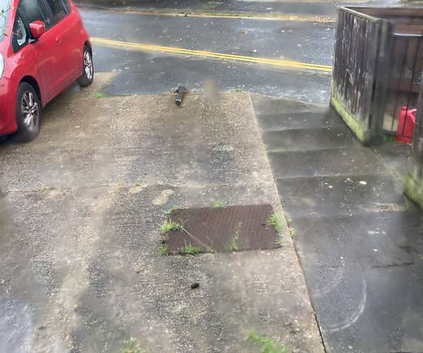 Parking on Dressington Avenue, SE4
