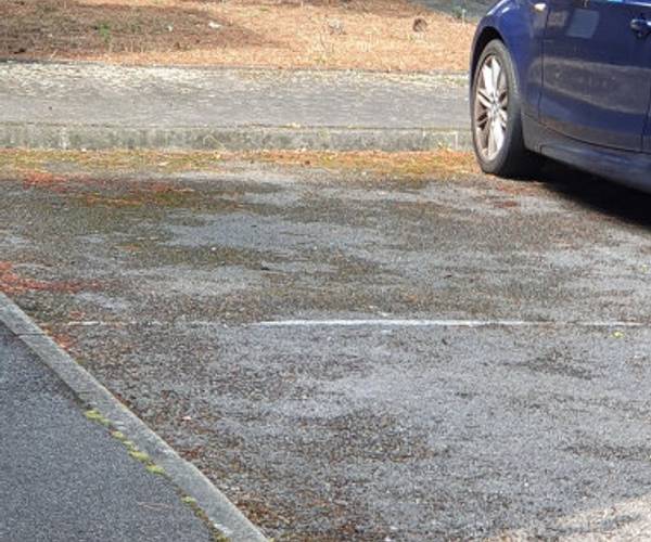 Parking on Outram Road, CR0