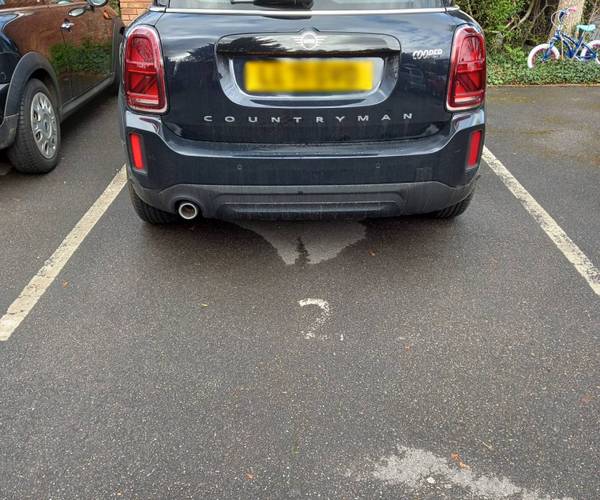 Parking on Courtfield Gardens, W13