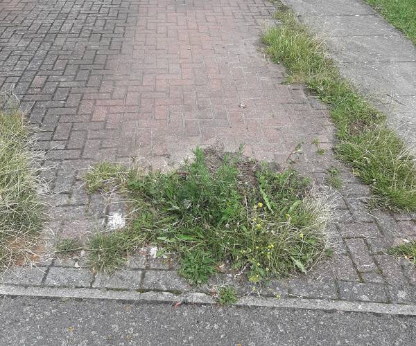 Parking on Adams Way, CR0