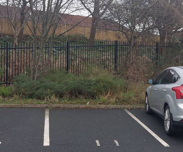 Parking on Park Road, NE4