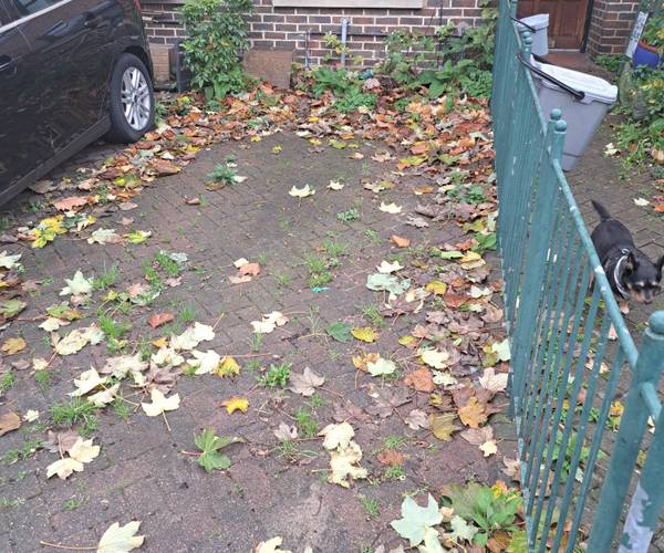 Parking on Silvermere Road, SE6