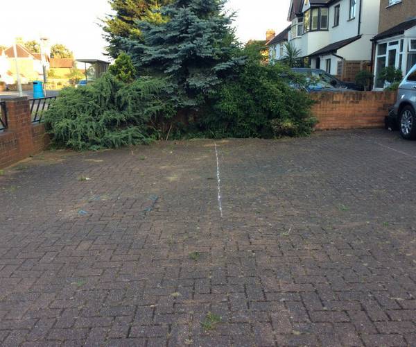 Richmond Road, KT2