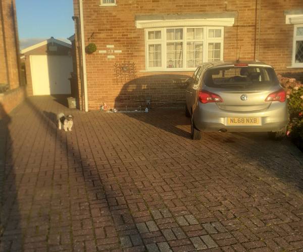 Parking on Newnham Close, LU2