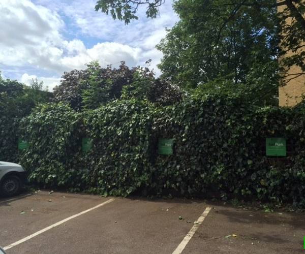 Mornington Avenue Car Park