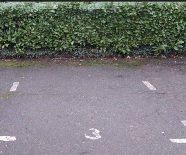 Parking on Coxbridge Court, CM12