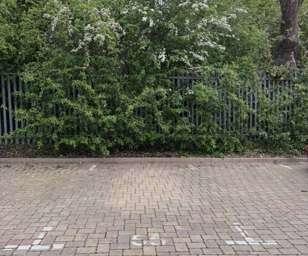 Parking on Hardy Close, CM1