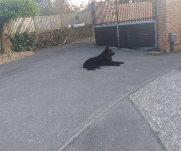 Parking on Tippings Lane, RG5