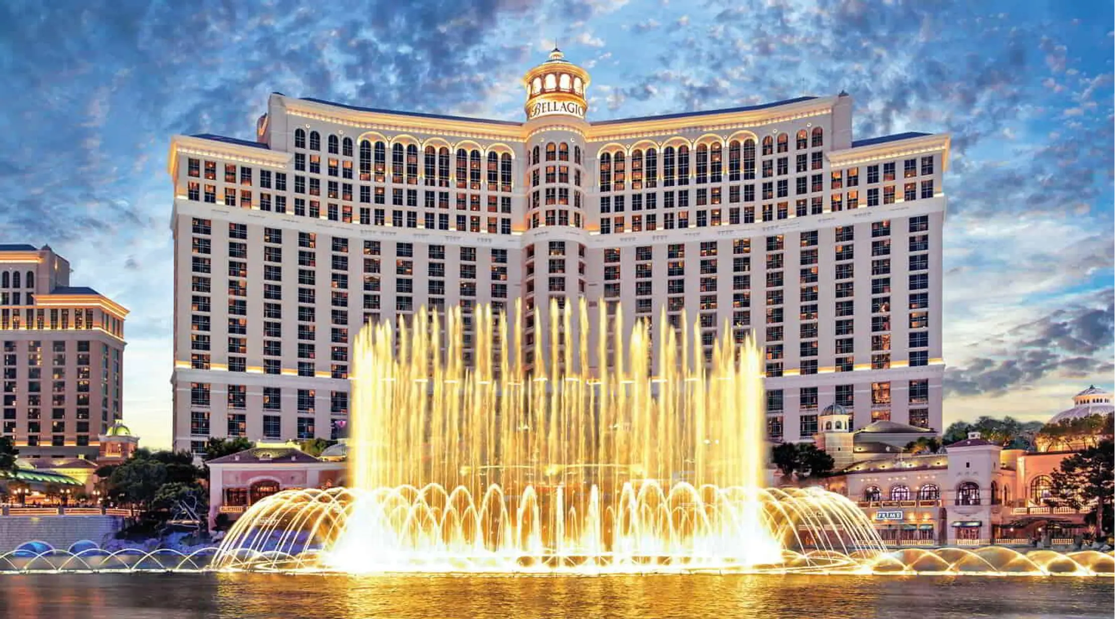MGM Resorts International Case Study