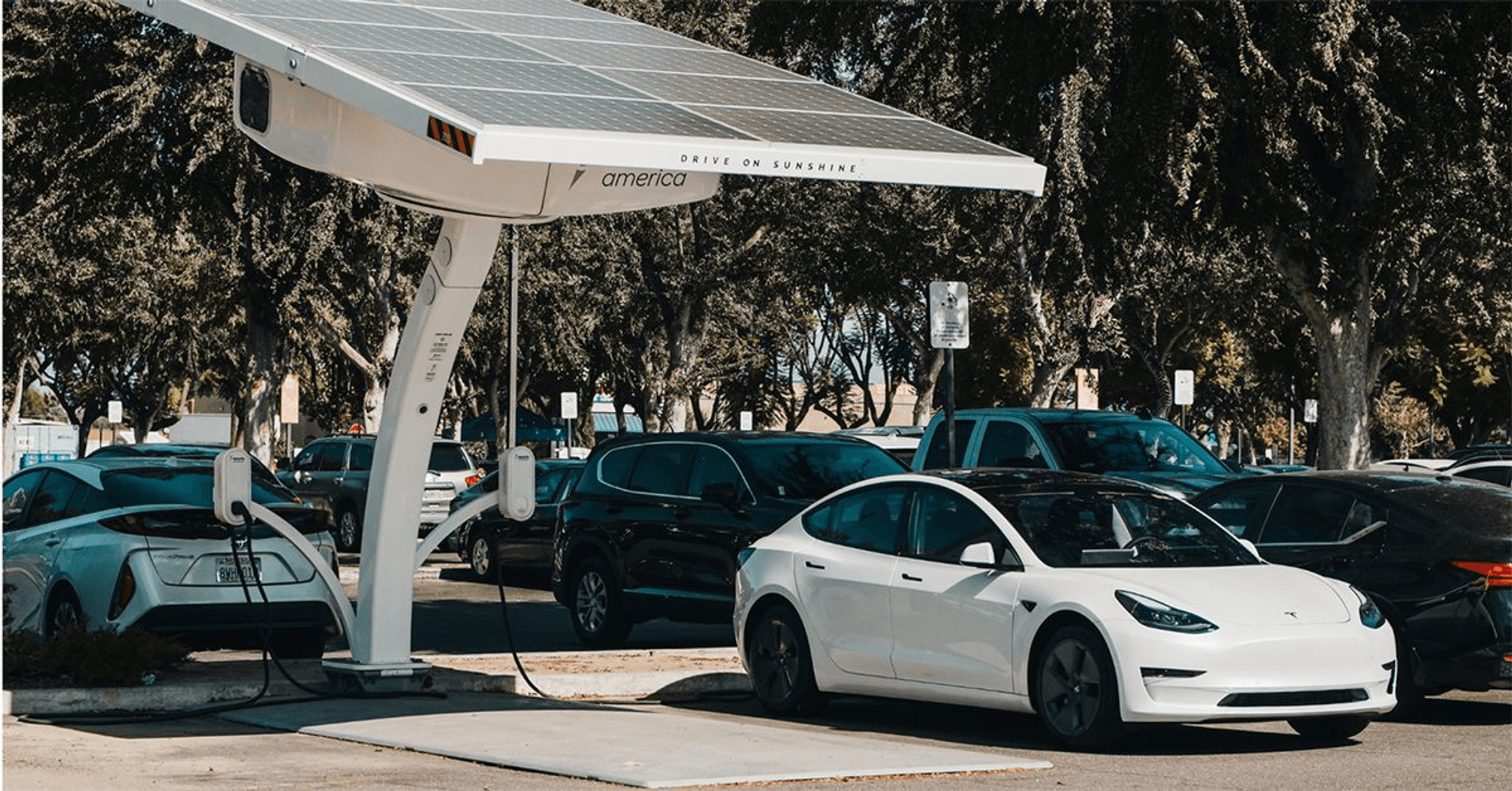 The Parking Industry’s Technological Leap: Market Insights and Consumer Behavior in 2024