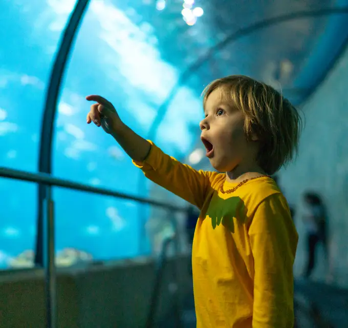 Blue Reef Bristol Aquarium